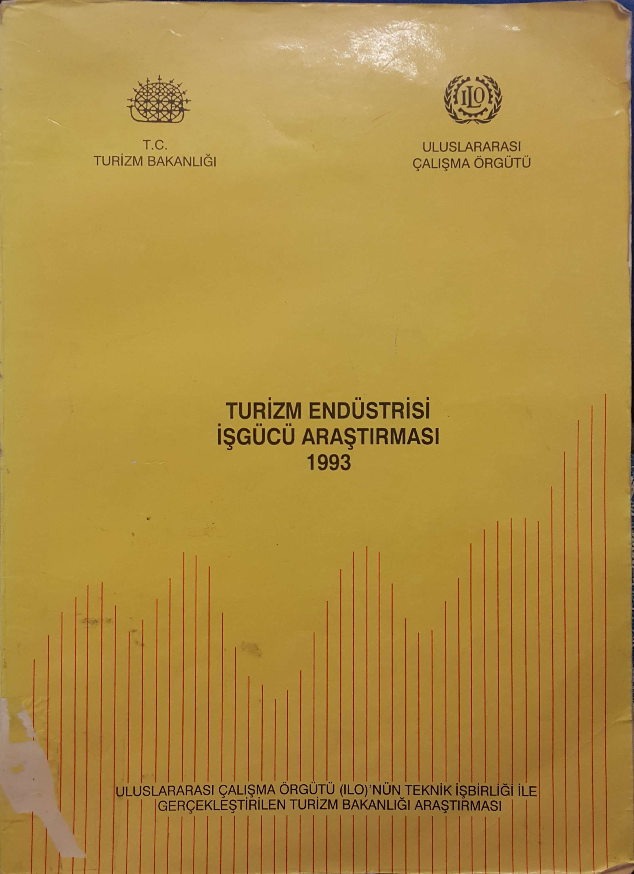 Turizm Endüstrisi İşgücü Araştırması Kitap Kapağı